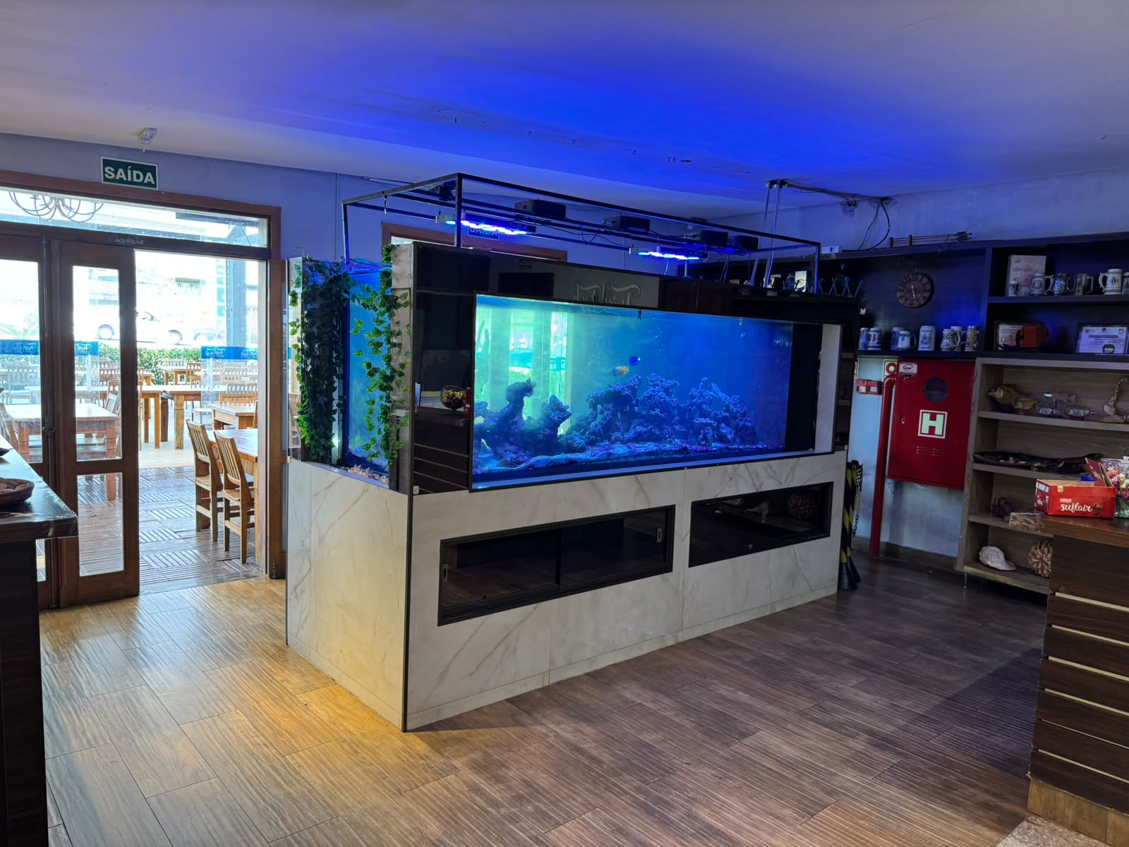 Vista ampla dos aquários no ambiente do café, com iluminação azul e prateleiras ao lado
