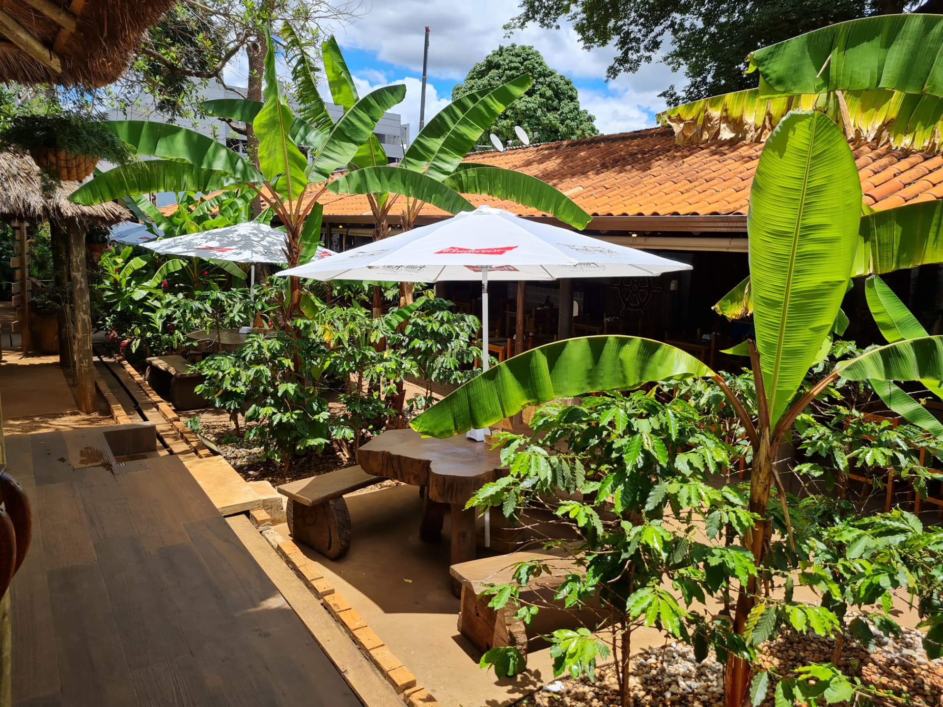 Área externa com mesas rústicas entre vegetação tropical e guarda-sol
