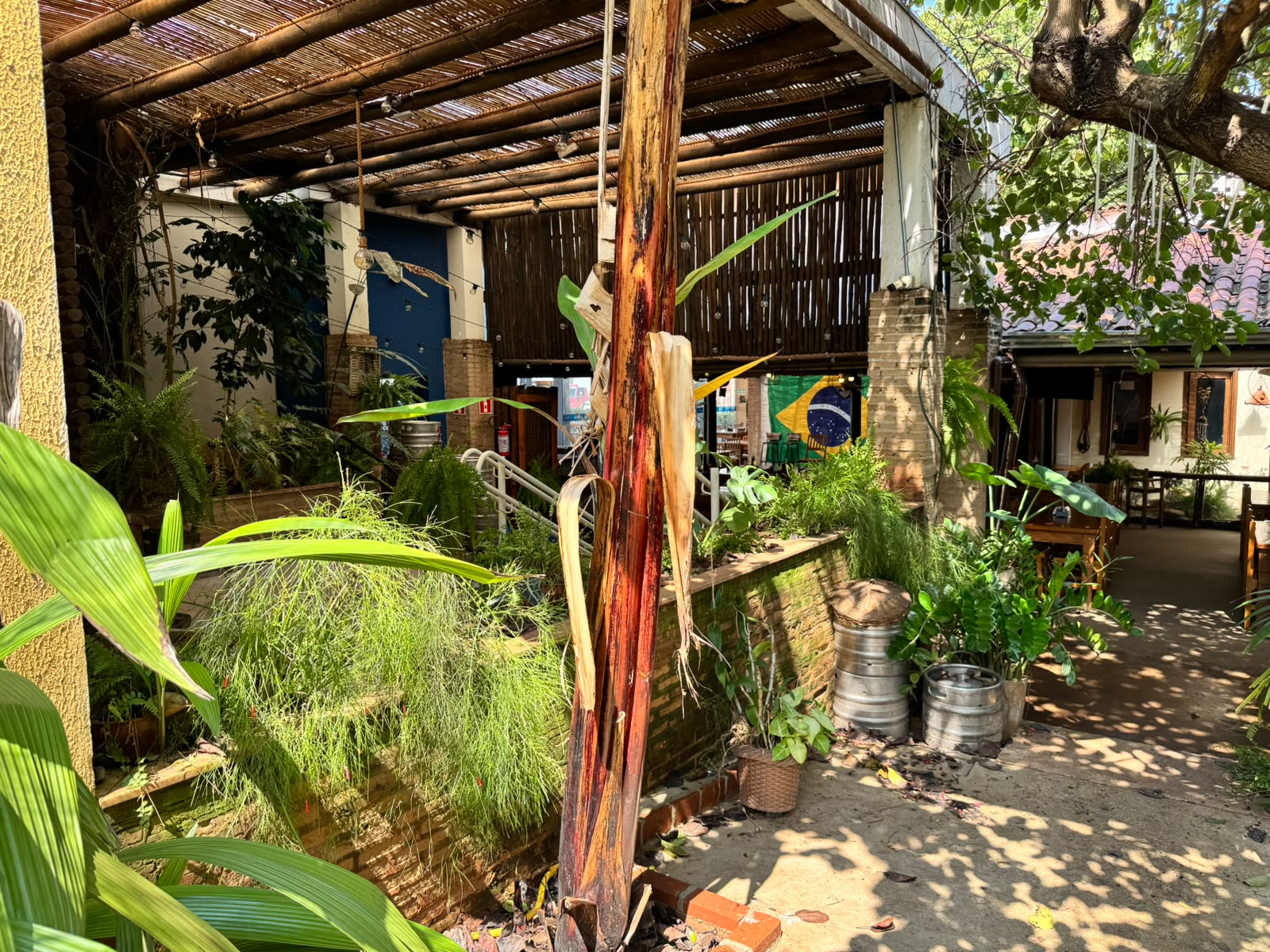 Espaço interno com teto de bambu, canteiros elevados com plantas e barris de chope metálicos